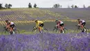 Kemenangan itu pun disambut sukacita oleh van Aert yang di beberapa etape datar sebelumnya gagal meraih podium utama. (Foto: AFP/Thomas Samson)