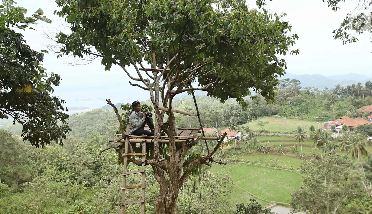 Wisatawan menikmati pemandangan di tempat wisata Gunung Parang di Kabupaten Purwakarta, Jawa Barat, Minggu (17/12). Gunung ini telah menjadi terkenal di dunia panjat tebing Indonesia sejak tahun 1980. (Liputan6.com/Herman Zakharia)