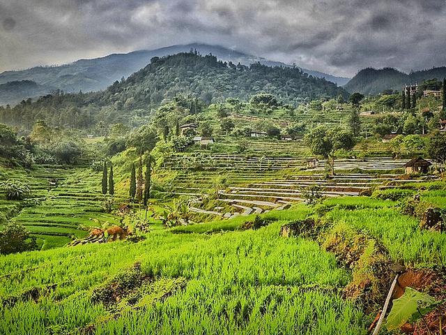 6 Wisata Pacet Mojokerto Yang Seru Cocok Untuk Dikunjungi Bareng