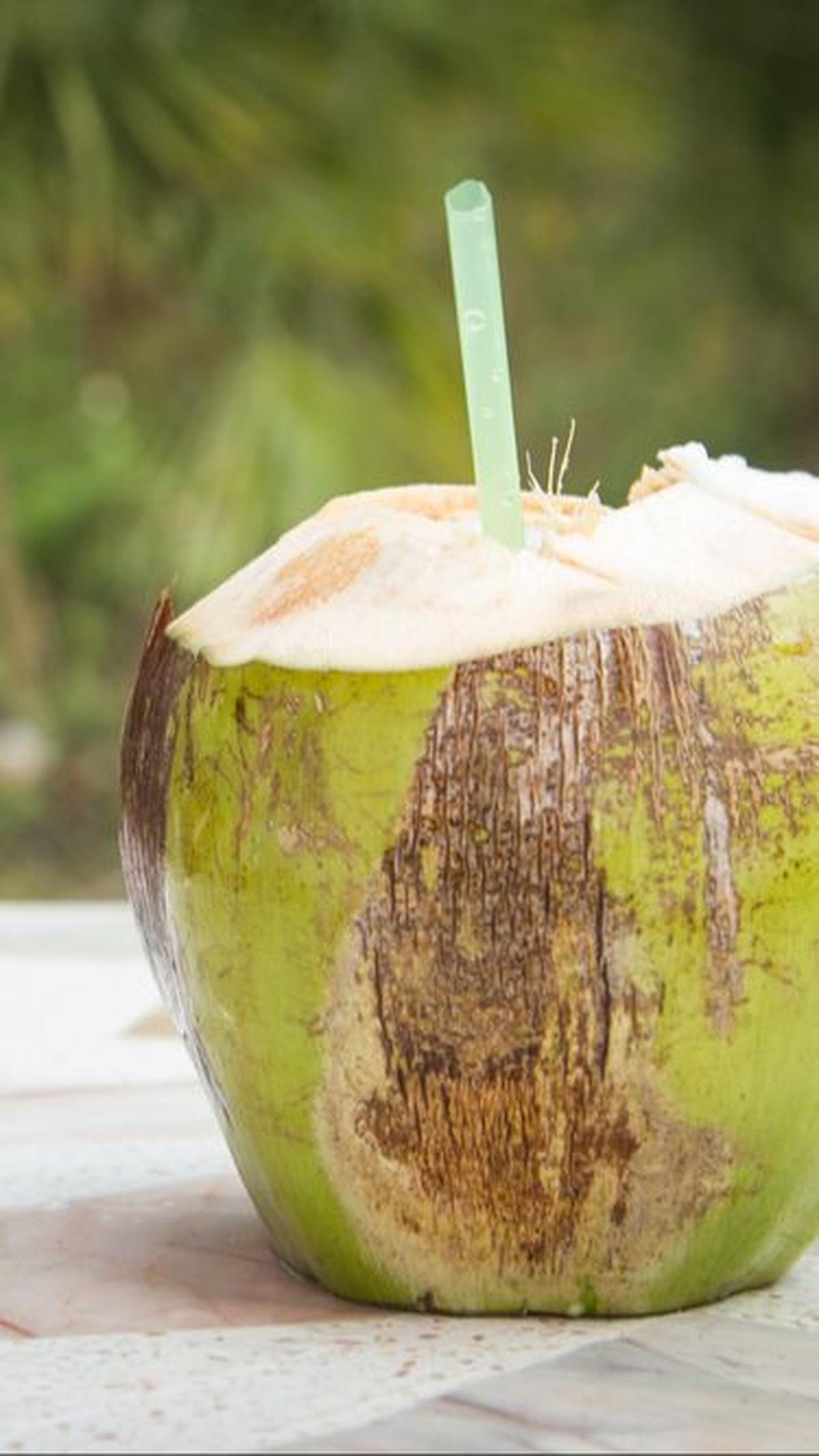 2. Cara Membuat Nata de Coco dari Air Kelapa Porsi Besar<br>