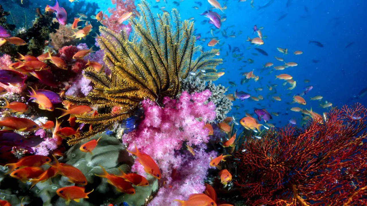 13 Fakta tentang Laut yang Bakal Bikin Kamu Terpesona