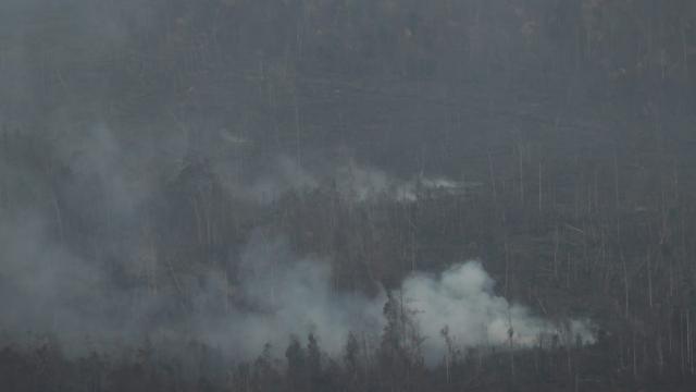 Ada Kejanggalan Kebakaran Hutan Api Padam Saat Siang