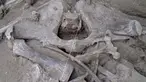Gambar selebaran yang dirilis pada  6 November 2019 menunjukkan tulang mammoth yang ditemukan di Tultepec, Meksiko. Para arkeolog menemukan 800 tulang dari setidaknya 14 hewan raksasa, temuan terbesar untuk fosil mammoth. (Photo by HO / INAH / AFP)