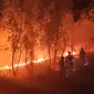 Petugas pemadam kebakaran berusaha memedamkan kebakaran hutan di Xichang, Provinsi Sichuan, China, Selasa (31/3/2020). Otoritas setempat mengungkapkan bahwa 19 orang tewas saat berupaya memadamkan kebakaran hutan di Sichuan. (STR/AFP)