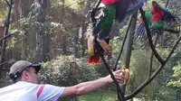 Yayasan Margasatwa Tamansari Mengaku Diminta Kelola Bandung Zoo Sejak 2017: Tapi Mereka Tuding Kami Ilegal