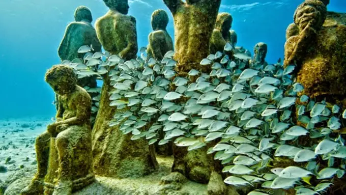 Tempat-tempat untuk Merasakan Petualangan Bawah Air yang Unik