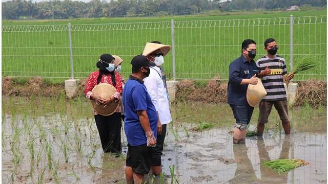 3 menteri meninjau Sentra Pengolahan Beras Terpadu (SPBT) Kebumen. (Foto: Liputan6.com/Istimewa)