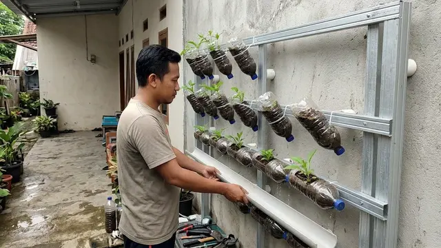 Trik Pasang Rangka Spasi 5 Cm pada Kebun Botol Vertikal