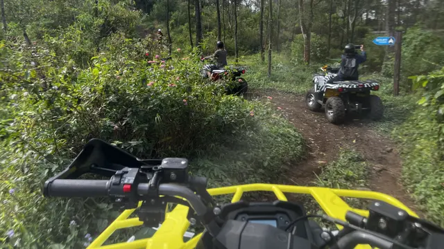 The Grand Taman Safari Prigen