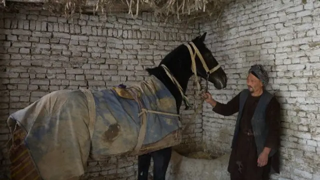 Buzkashi