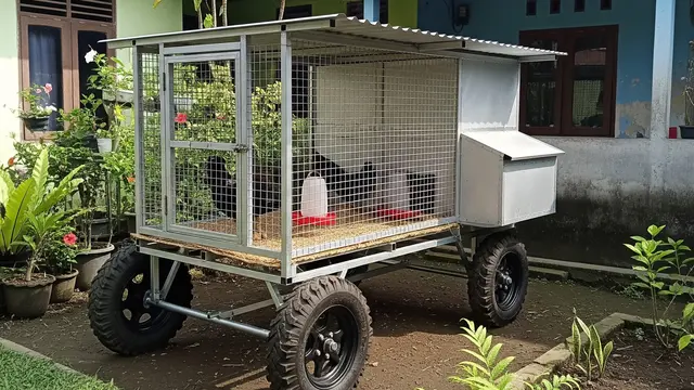 9 Ide Kandang Ayam Portable Roda Dorong Anti Becek, Solusi Peternak Modern