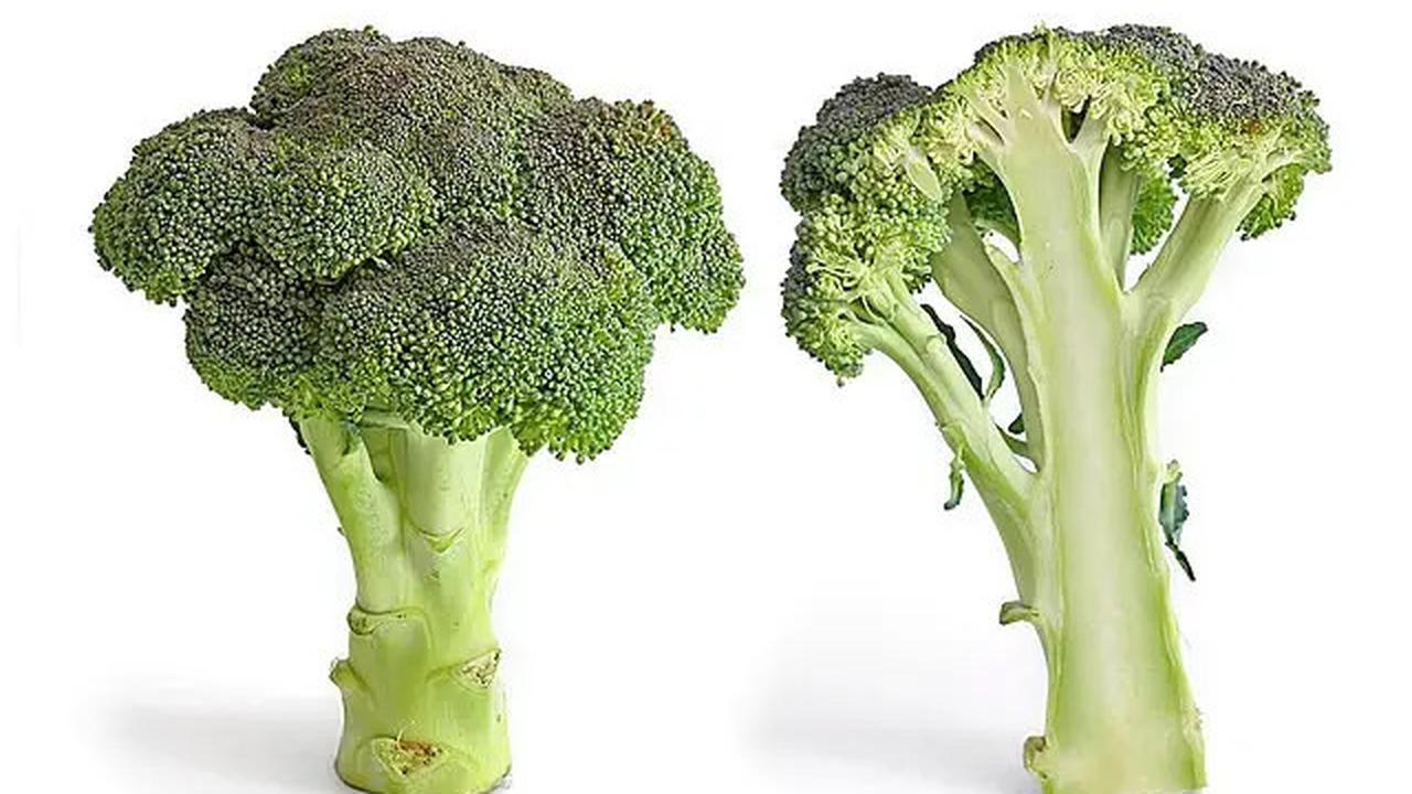Sayuran Tinggi Protein yang Mudah Ditanam Sendiri, Cocok untuk Pola Makan Sehat