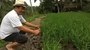 Mantan Kabareskrim Polri Komisaris Jenderal Polisi (Purn) Susno Duadji kini memilih mengisi hari-harinya dengan menjadi petani di kampung halamannya di Dempo Selatan, Pagar Alam, Sumatera Selatan. (www.facebook.com/susno2g)