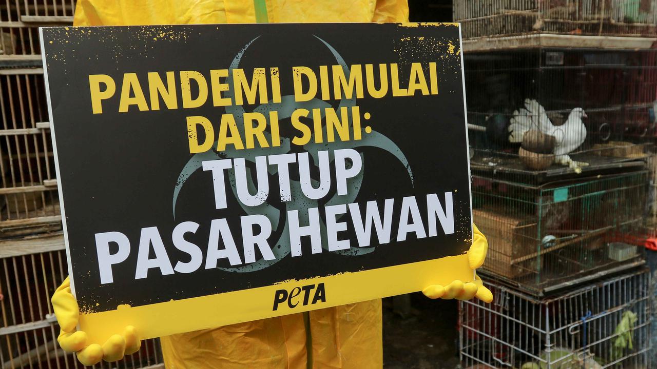 Aktivis PETA demo di Pasar Hewan Jatinegara