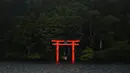 Torii (gerbang merah) dari kuil Hakone-Jinja terlihat di Danau Ashi di prefektur Kanagawa, Jepang (11/9/2019). Nama Danau Ashi atau yang dikenal juga dengan Danau Ashinoko ini dalam bahasa Jepang memiliki arti lautan alang-alang. (AFP Photo/Charly Triballeau)