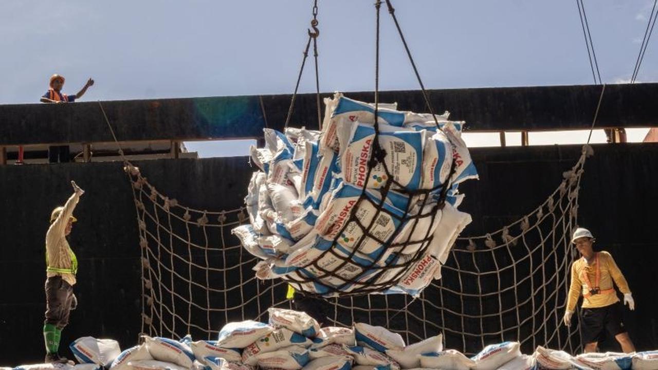 Pupuk Subsidi Sumbar: Penyaluran Pupuk Bersubsidi Lampaui Target di Sumatera Barat
