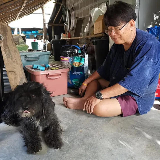 Bikin Haru, Anjing Ini Setia Tunggu Majikan di Tempat Ia Ditinggal