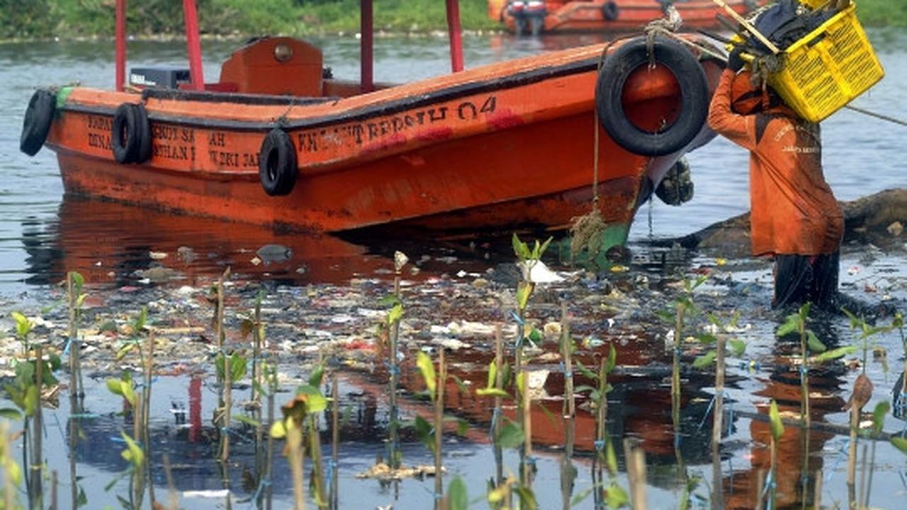 Melihat aksi para penjaga kebersihan pantai