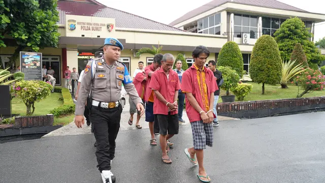 Tindak Pidana Perkebunan
