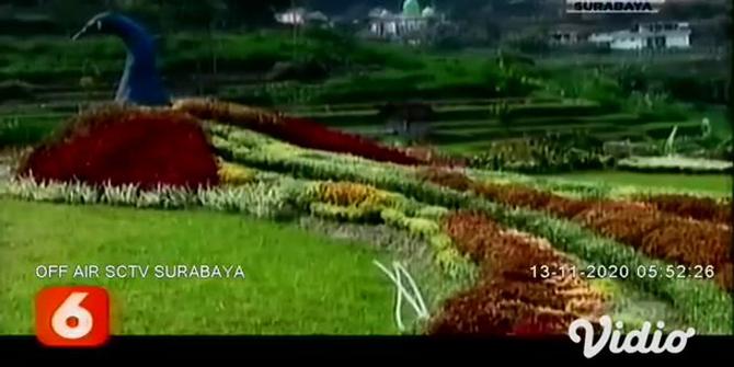 VIDEO: Kebun Bunga Refugia Magnet Wisata di Lereng Gunung Lawu Magetan