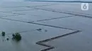Pagar yang dibuat menggunakan bambu terlihat membentang di kawasan perairan Tarumajaya, Bekasi, Jawa Barat, Kamis (16/1/2025). (Liputan6.com/Herman Zakharia)