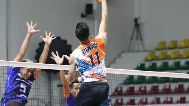 Proliga 2023