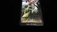 Tarot Cinta: Kegigihanmu Akan Membawa Kesuksesan