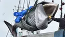 Paus Minke di angkut sebuah kapal di pelabuhan Kushiro, Prefektur Hokkaido, Jepang (1/7/2019). Perburuan paus yang dilakukan Jepang tetap ada batasnya. Yakni total 227 paus sepanjang musim hingga akhir Desember, di antaranya 52 paus Minke, 150 paus Bryde dan 25 paus Sei. (AFP Photo/Kazuhiro Nogi)