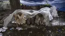 Pengunjuk rasa anti-pemerintah Pakistan bernaung di bawah lembaran plastik saat hujan deras menuntut pengunduran diri Perdana Menteri Nawaz Sharif, (4/9/2014). (REUTERS/Zohra Bensemra)