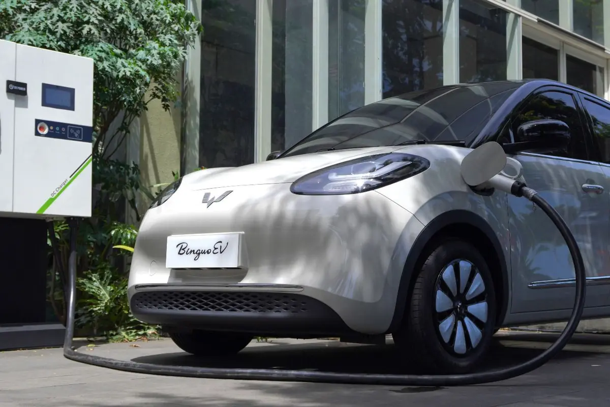 Wuling BinguoEV