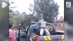 Pemuda di Magelang terciduk mengonsumsi kecubung hingga mabuk dan berjoget di atas mobil.
