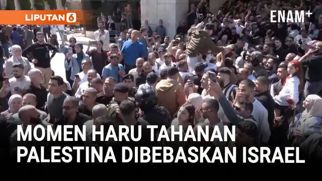 Ratusan warga Palestina menyambut kedatangan para tahanan yang dibebaskan Israel di Ramallah. Pembebasan ini merupakan bagian dari kesepakatan pertukaran tahanan dalam gencatan senjata antara Israel dan Hamas.
