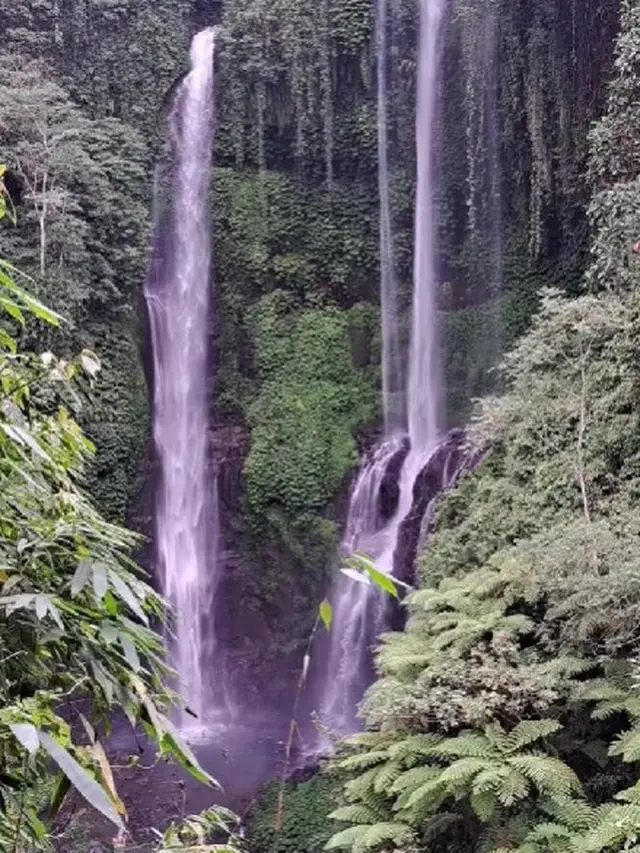 Air Terjun Sekumpul, Bali