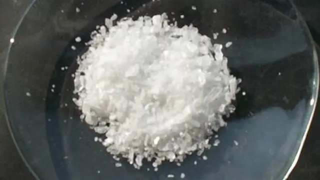 Cairan Alami Pembasmi Rayap Kayu