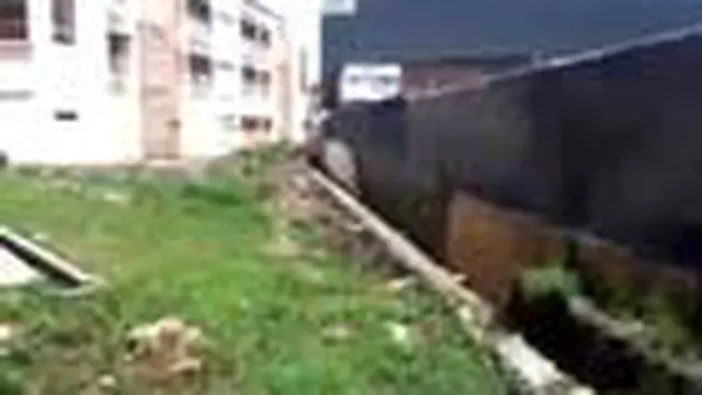 Gang tikus di tutup mahasiswa bingung