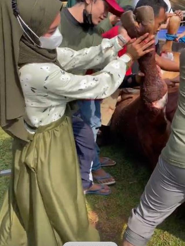6 Momen Ria Ricis Rayakan Idul Adha, Terjun Langsung Menguliti Sapi Kurbannya