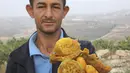 Seorang pria menunjukkan buah pir berduri di Desa al-Simiya, dekat Kota Hebron, Tepi Barat, Palestina, Selasa (4/8/2020). (HAZEM BADER/AFP)