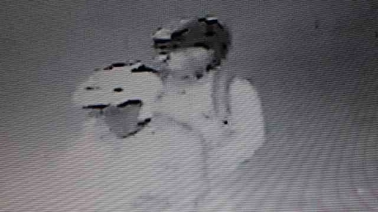 Video Rekaman CCTV Pelemparan Bom Molotov di Rumah Kapitra Ampera