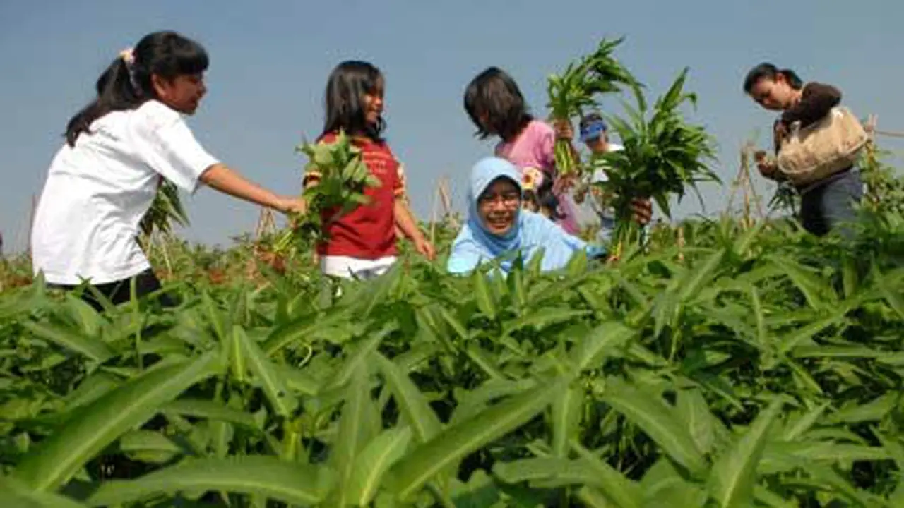 liputan6