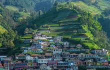 FOTO: Pesona Negeri Warna Warni "Nepal Van Java" di Lereng Gunung  Sumbing