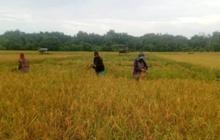 APUDSI Gelar Rakernas 2026, Tegaskan Desa sebagai Pilar Ketahanan Nasional