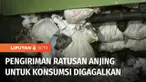Polisi dan petugas Jasa Marga menangkap truk yang mengangkut ratusan anjing di Tol Kalikangkung, Semarang, Jawa Tengah. Kuat dugaan ratusan anjing ini akan diperjualbelikan dagingnya di kawasan Solo.