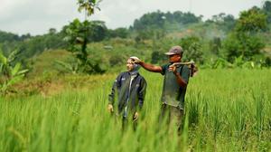 KUR BRI Jangkau 2,76 Juta Debitur, Pembiayaan Sektor Produksi Tembus Rp98,86 Triliun