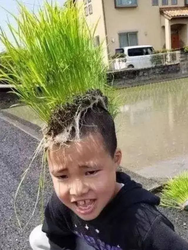 7 Potret Kocak Orang Pakai Rambut Palsu dari Tanaman Ini Absurd Banget