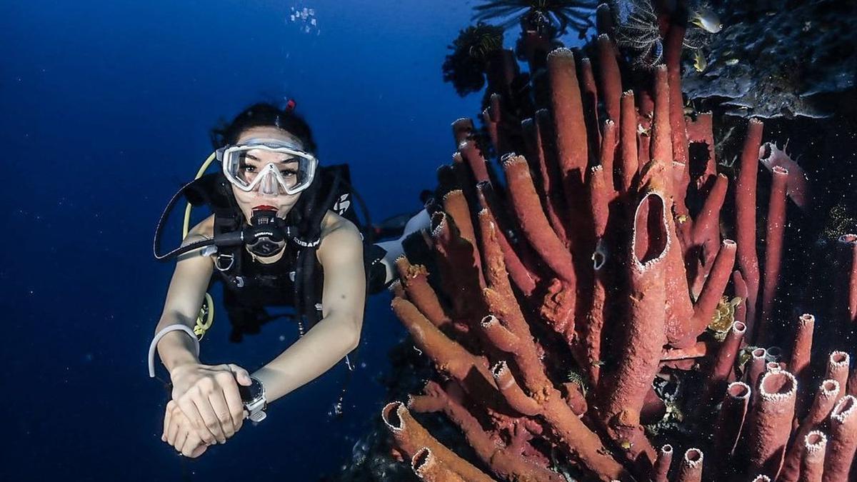 Potret Gisel Diving dengan Bibir Merah Merona, Di Laut Menyadari ...