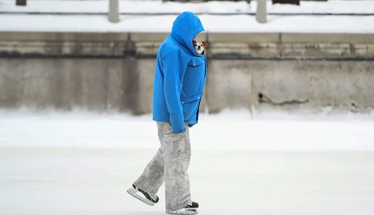 Andy S. berseluncur dengan anjingnya Stella dalam jaketnya di Rideau Canal Skateway pada hari pembukaannya di tengah pandemi COVID-19 di Ottawa, Ontario, Kamis (28/1/2021). (Justin Tang/The Canadian Press via AP)