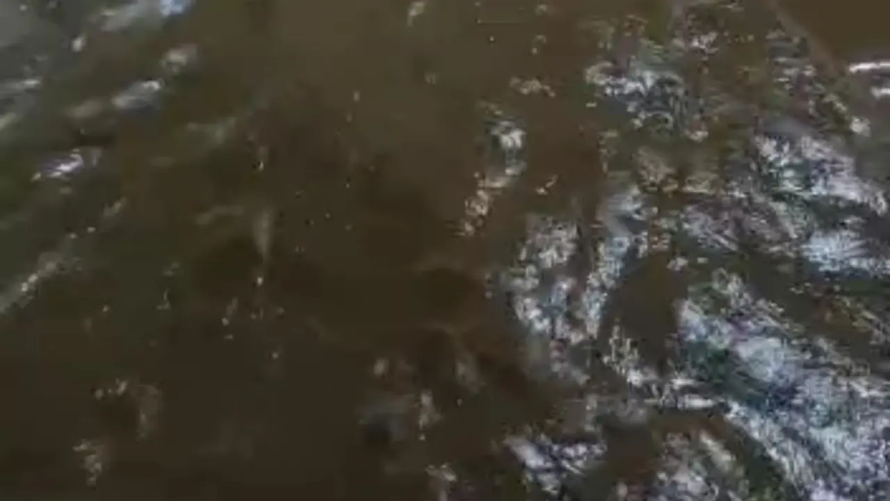 Luapan sungai Sungai Cikaso dan Sungai Cipalebuh Kecamatan Pameungpeuk, Garut, Jawa Barat menyebabkan delapan desa di wilayah itu terendam banjir bandang. (Liputan6.com/Jayadi Supriadin)
