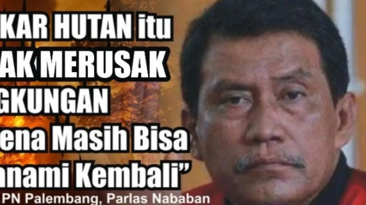 Ketika Hakim Parlas Sebut Pembakaran Hutan Tidak Rusak Lingkungan