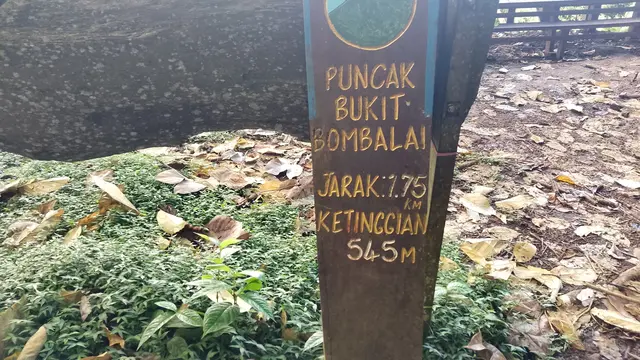 Puncak Bukit Bombalai di Serawak Malaysia. (Dok: Gunung Bagging https://www.gunungbagging.com/bombalai-hill/)