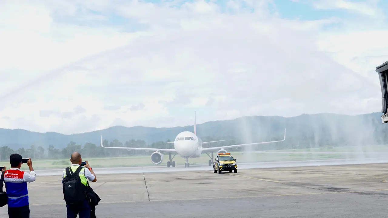 Pelita Air membuka rute baru Jakarta-Kendari PP. (Istimewa)